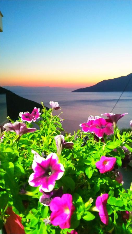 Alkyon Suites Agios Vasilios  Экстерьер фото